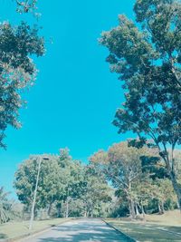 Road amidst trees against clear blue sky