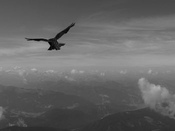 Bird flying over mountain against sky