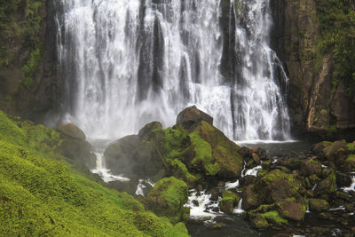 View of waterfall in forest