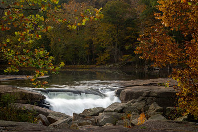 Scenic view of waterfall in forest during autumn