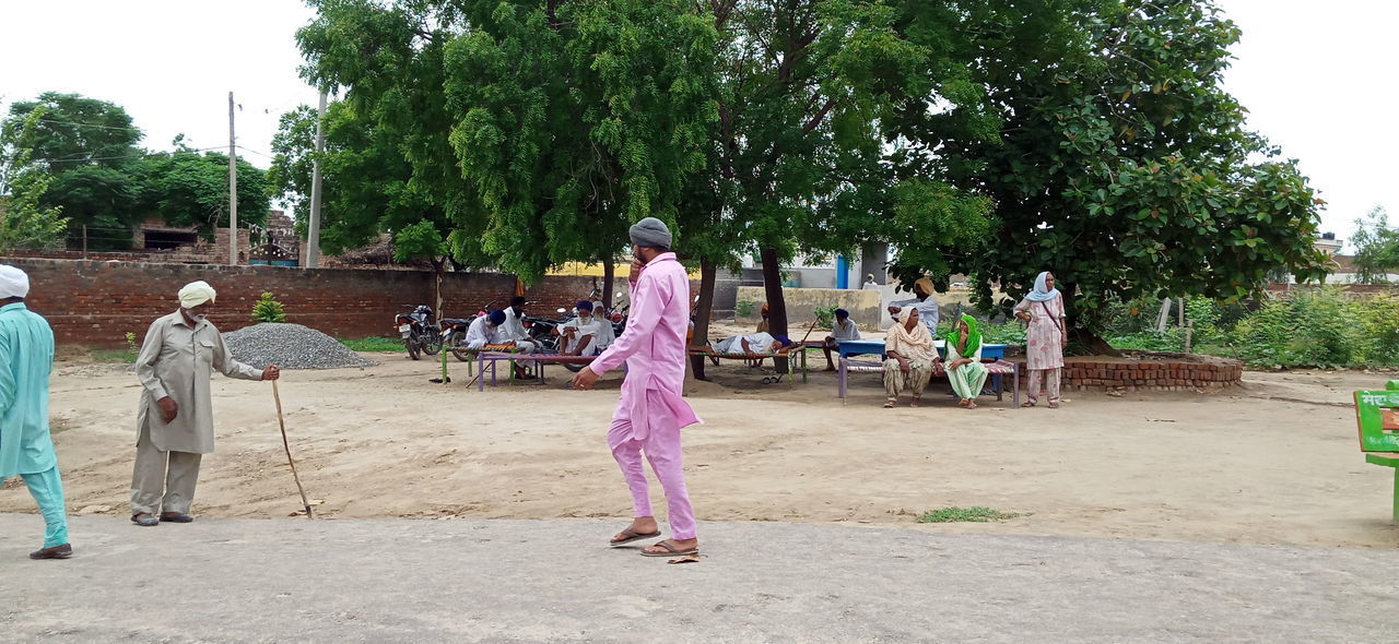 REAR VIEW OF PEOPLE PLAYING ON PLANT AGAINST TREES