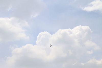 Low angle view of birds flying in sky