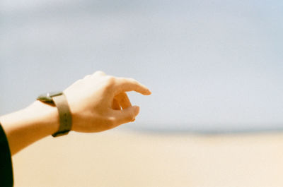 Close-up of hand holding leaf against sky