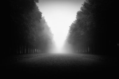 Diminishing perspective of dirt road amidst trees against sky in forest during foggy weather