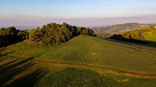 Aerial view from the drone of hills, italy, with countryside road and meadows