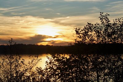 Silhouette plants by lake against sky during sunset