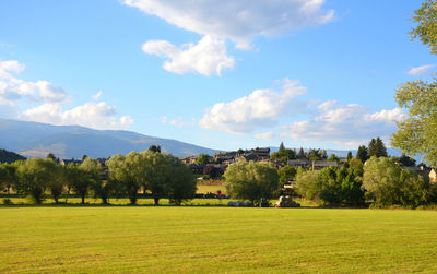 Trees on field against sky