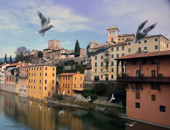 Seagulls flying over river in city against sky