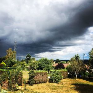 Trees on field against cloudy sky