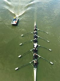 High angle view of sports people rowing boat on river