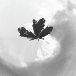 Low angle view of cloudy sky