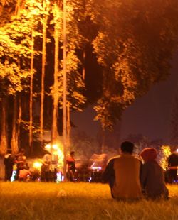 Woman standing on illuminated tree at night