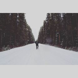 Rear view of woman walking on road