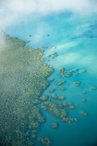 Aerial view of sea