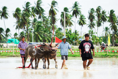 Group of people walking on palm trees