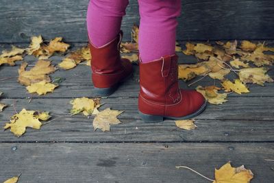 Low section of child wearing leather boots standing on pier with autumn leaves