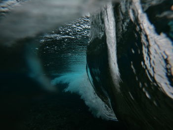 Close-up of jellyfish in water