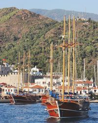 Sailboats moored on sea by harbor against mountain