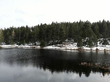 Scenic view of lake in forest against sky