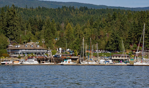 Scenic view of sea by trees and buildings