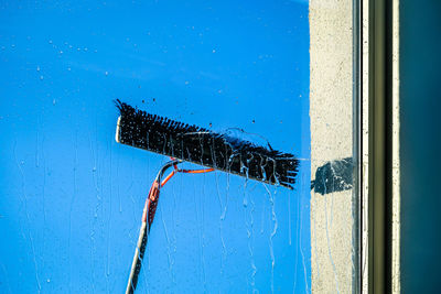 Close-up of umbrella on glass window