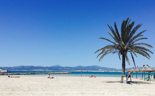 Scenic view of beach against clear blue sky