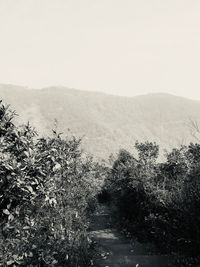 Scenic view of landscape against clear sky