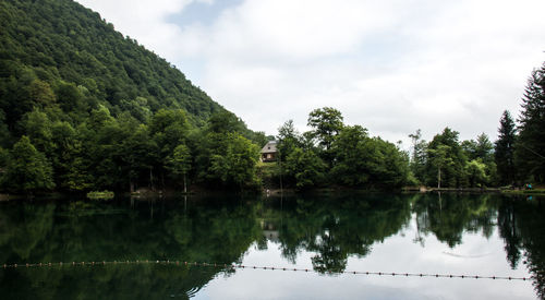 Scenic view of lake by trees against sky