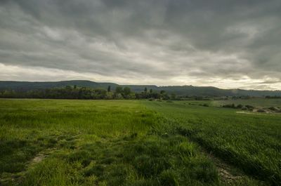 Scenic view of field against cloudy sky