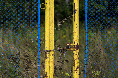 Close-up of chainlink fence