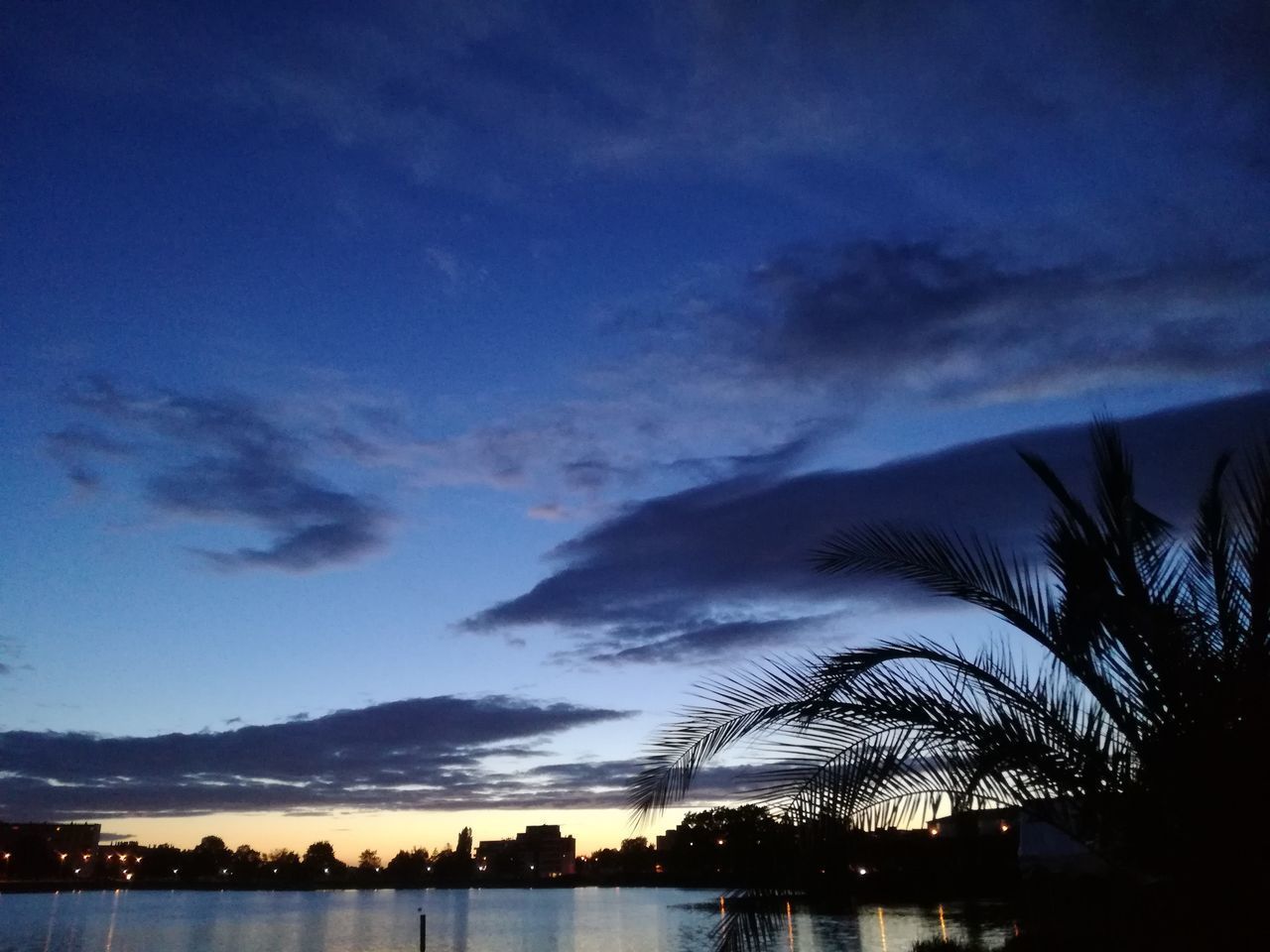 LOW ANGLE VIEW OF SILHOUETTE TREES AGAINST SKY