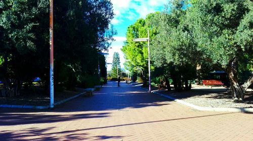 Footpath along trees