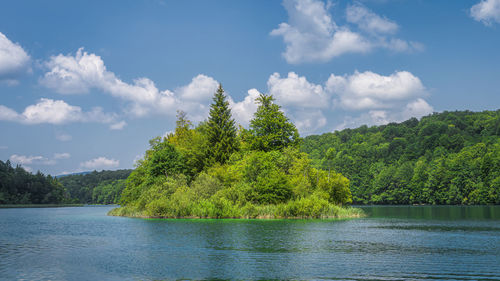 Trees by lake against sky