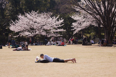 Rear view of woman sitting in park