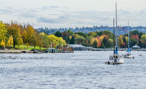 Trees display rich autumn colors along the shore at gene coulon park in renton, washington.