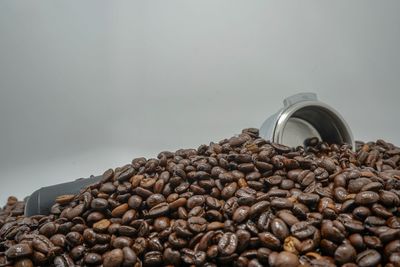 View of coffee beans against clear sky