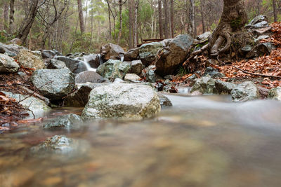 Stream flowing through rocks in forest