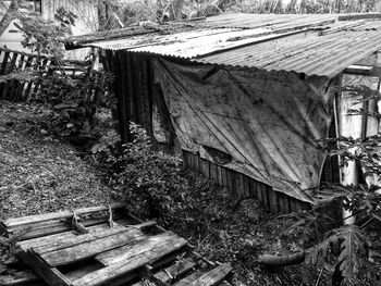 Abandoned drying on roof of hut