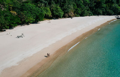 Drone view of couple at beach on sunny day