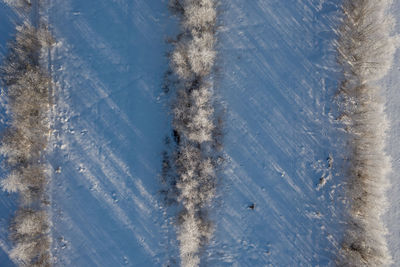 High angle view of ice on land