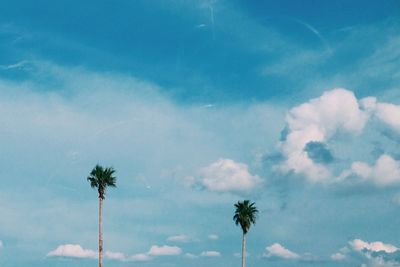 Low angle view of trees against cloudy sky