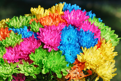 Close-up of multi colored flower bouquet