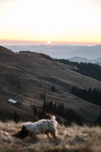 Scenic view of landscape against sky during sunset