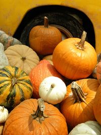 High angle view of pumpkins