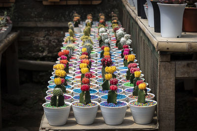 Potted plants at market stall