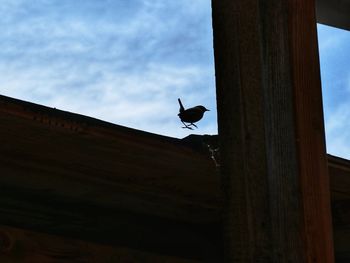 Low angle view of bird perching on wood against sky