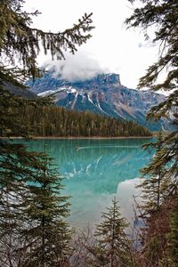 Scenic view of lake and mountains