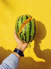 Midsection of person holding fruit against wall