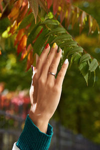 Close-up of woman hand with leaves