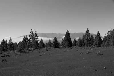 Panoramic view of landscape against clear sky